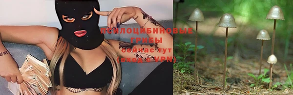 амф Аркадак