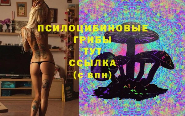 стаф Армянск